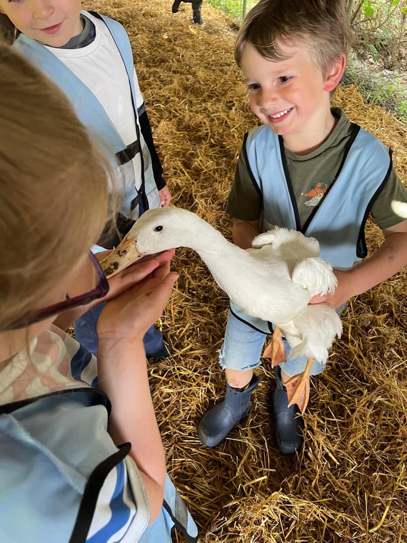 Children with farm animals